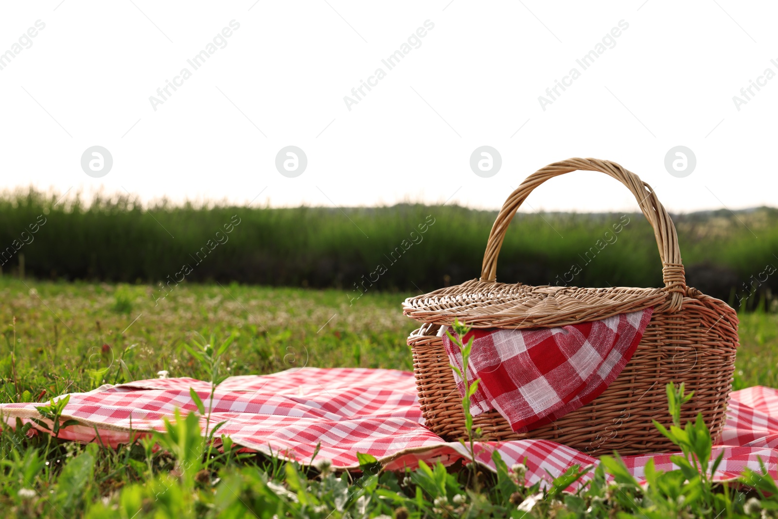 Photo of Picnic wicker basket with napkin and red checkered blanket on green grass outdoors, space for text