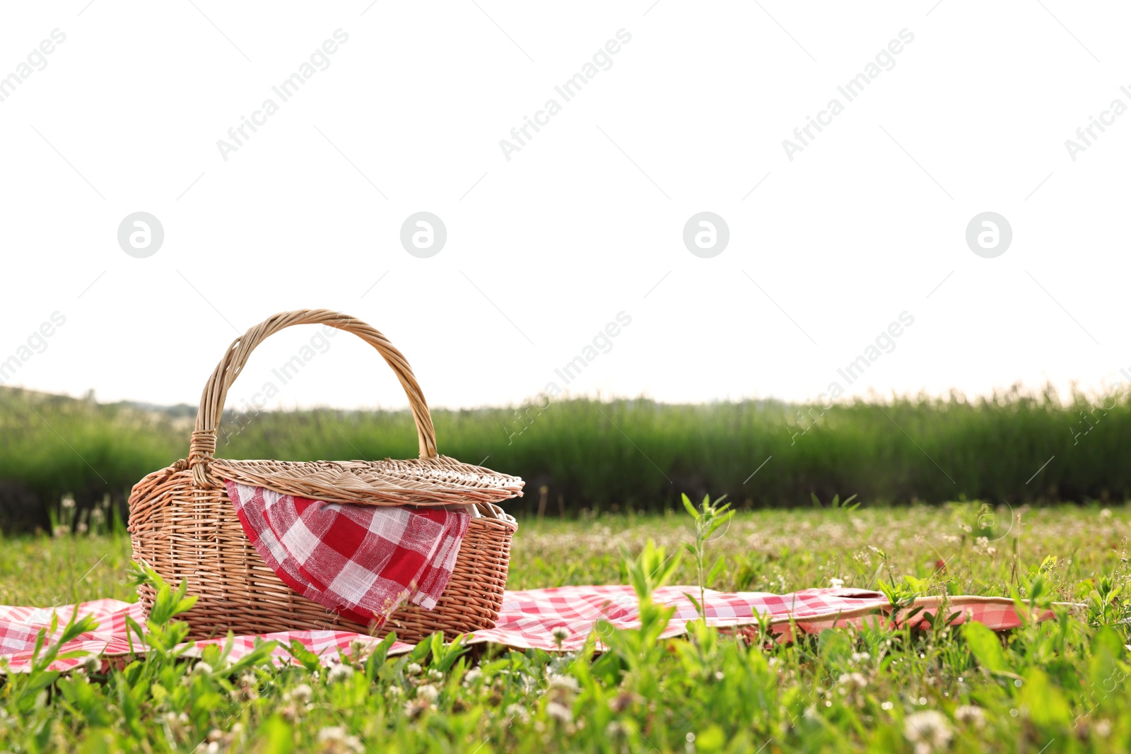 Photo of Picnic wicker basket with napkin and red checkered blanket on green grass outdoors, space for text