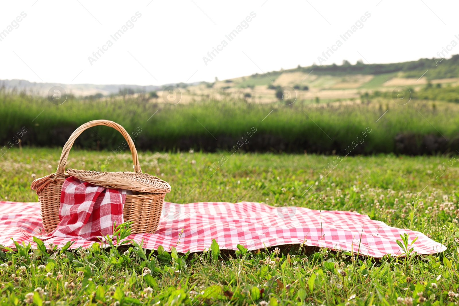 Photo of Picnic wicker basket with napkin and red checkered blanket on green grass outdoors, space for text