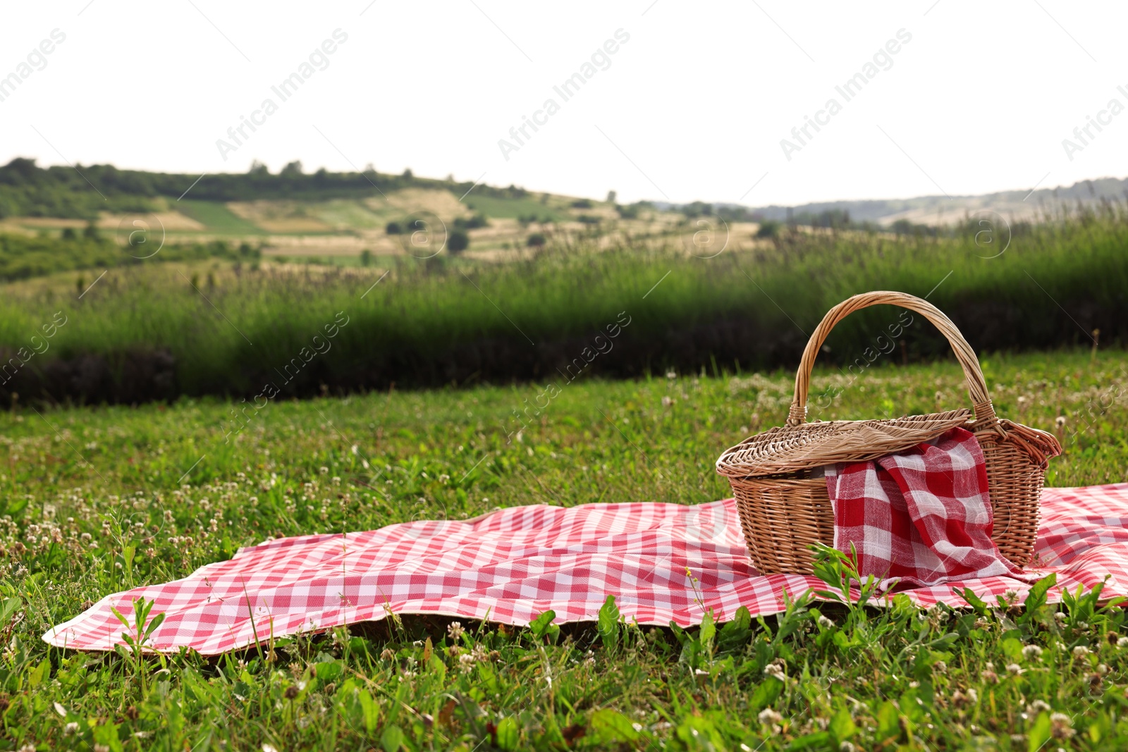 Photo of Picnic wicker basket with napkin and red checkered blanket on green grass outdoors, space for text