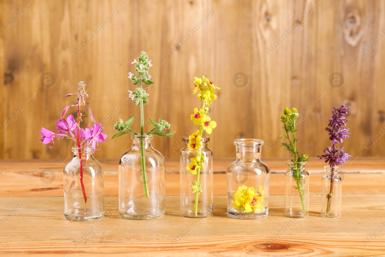 Photo of Different healing herbs in bottles on wooden table