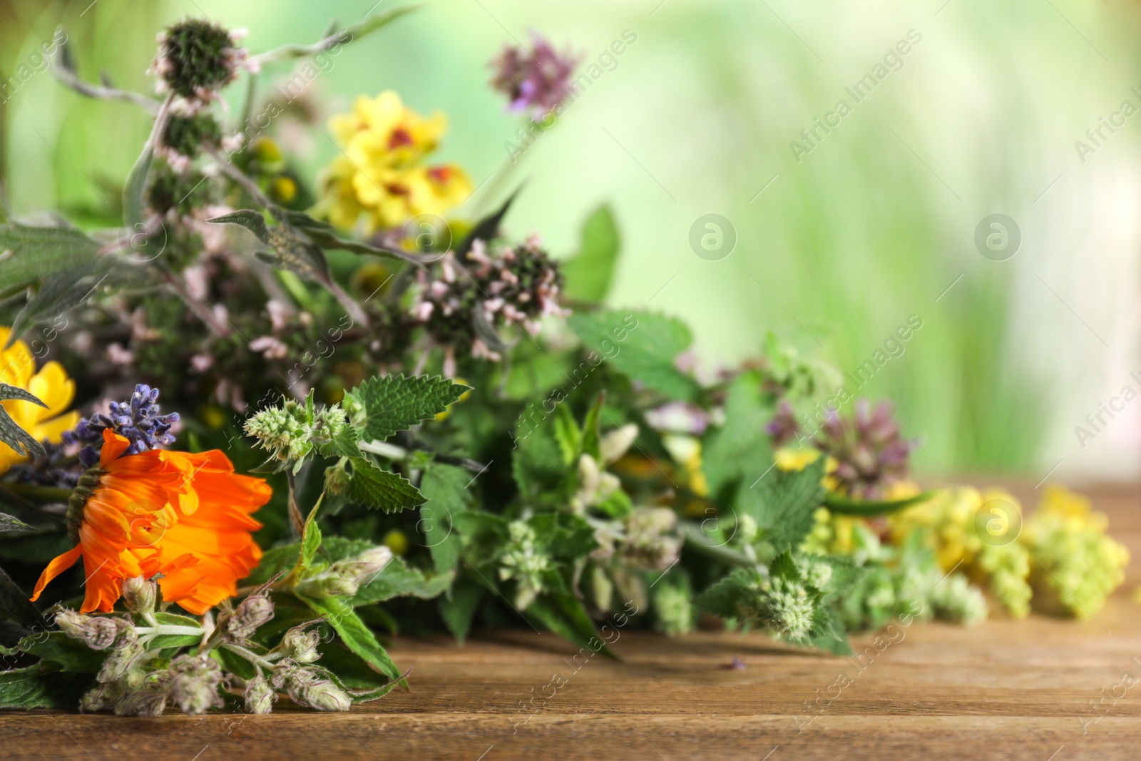 Photo of Different healing herbs on wooden table, closeup