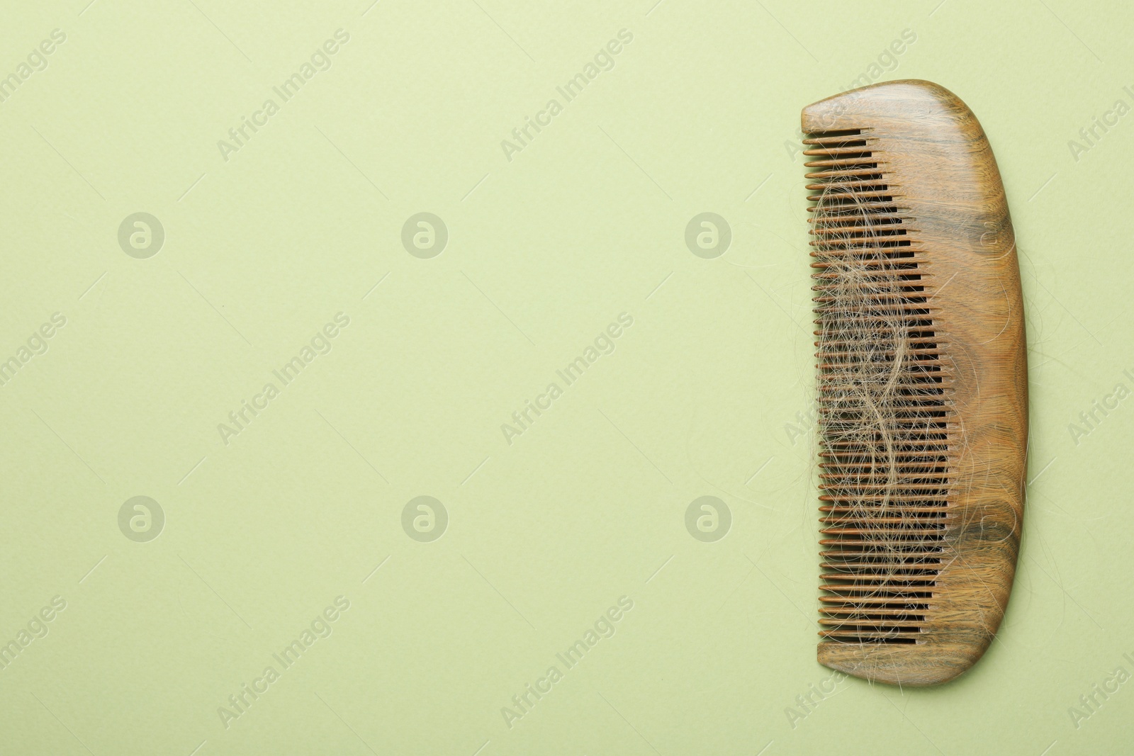 Photo of One comb with lost hair on light olive background, top view. Space for text