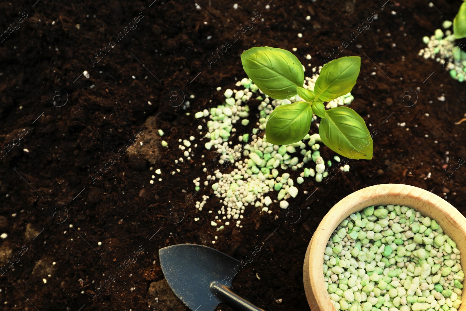 Photo of Plant, fertilizer and trowel on soil outdoors, top view. Space for text