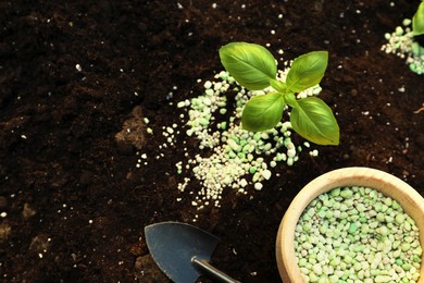 Photo of Plant, fertilizer and trowel on soil outdoors, top view. Space for text