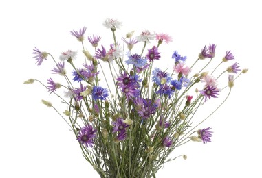 Photo of Bouquet of beautiful wildflowers isolated on white