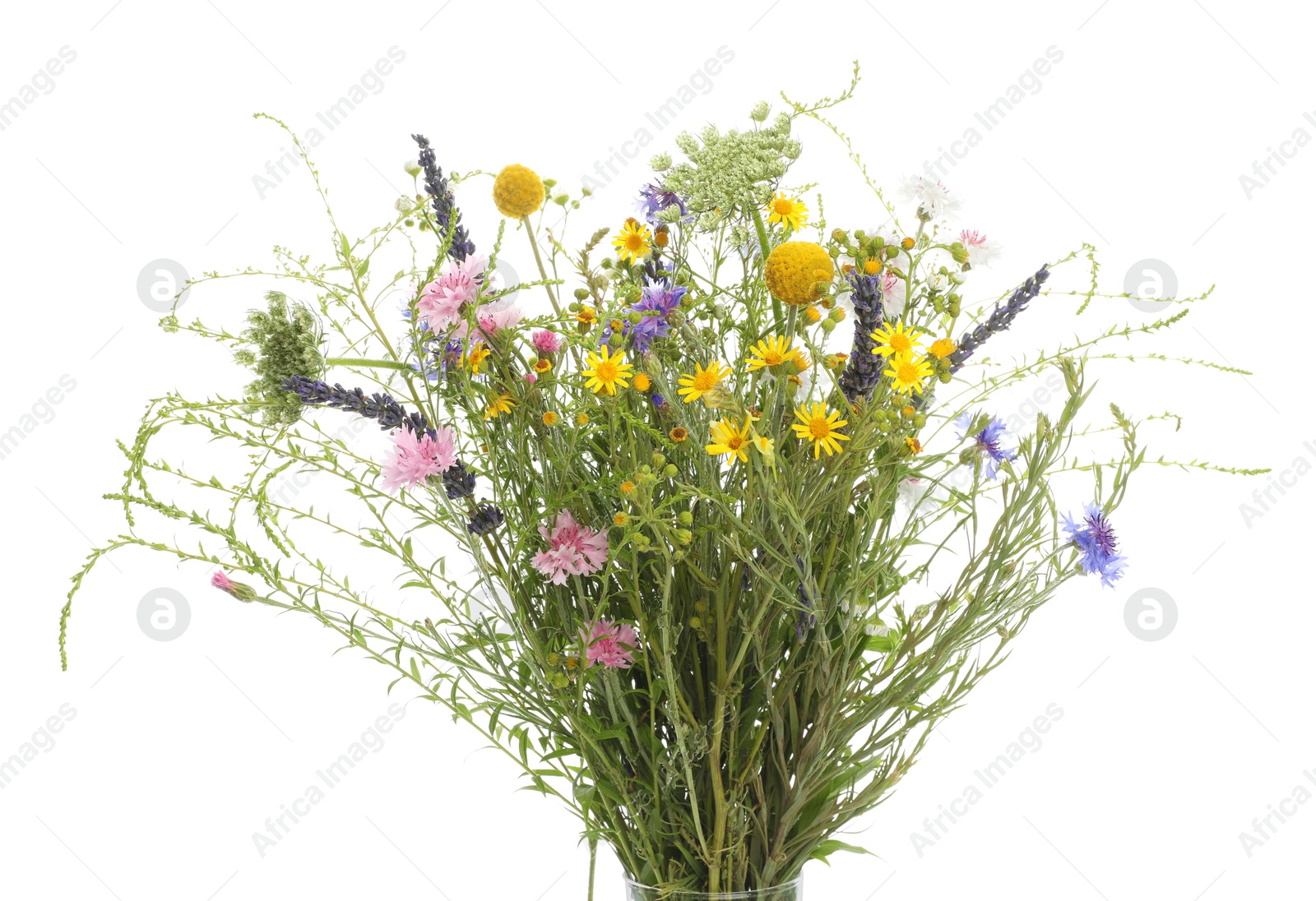 Photo of Bouquet of beautiful wildflowers isolated on white