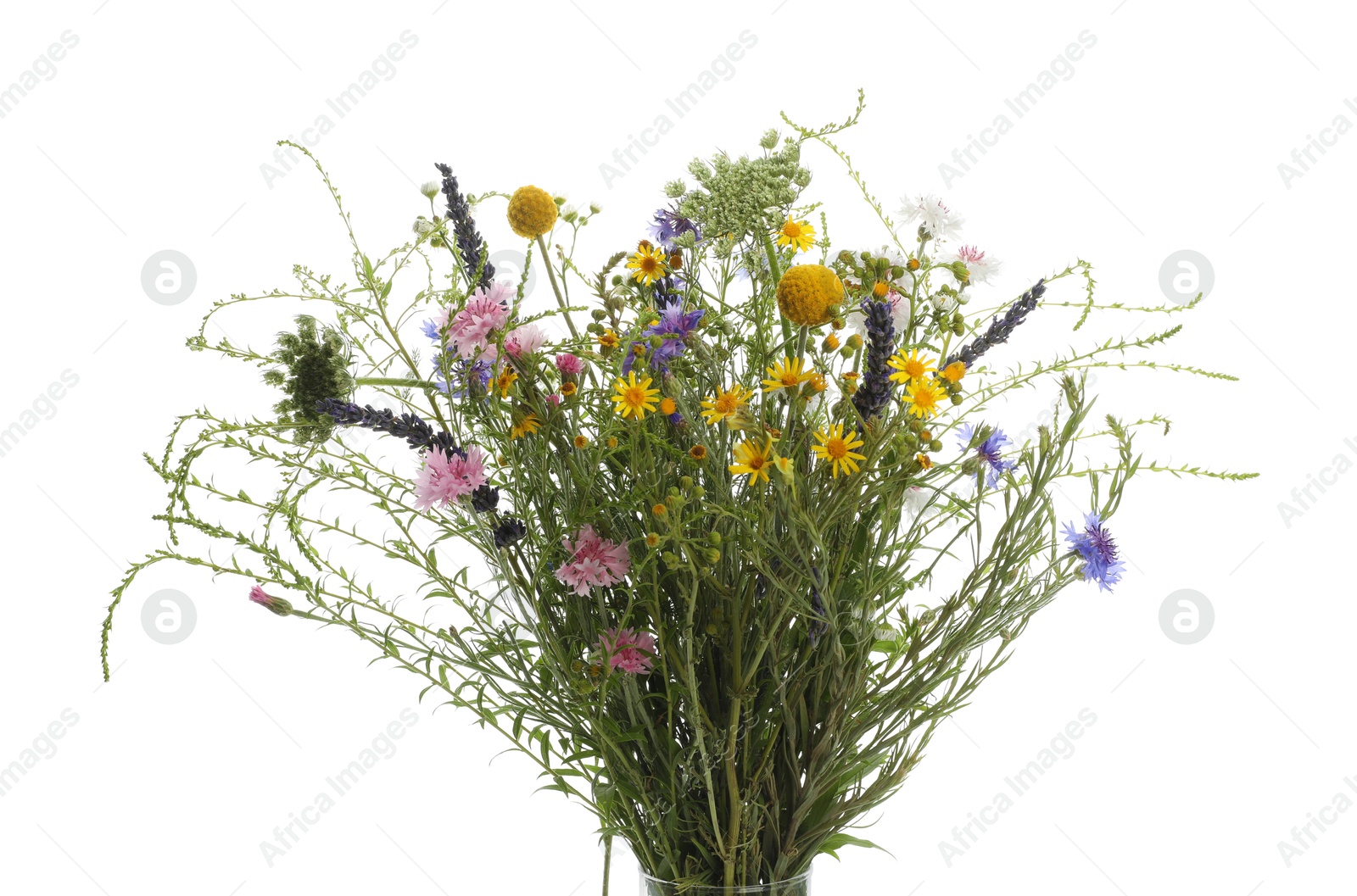 Photo of Bouquet of beautiful wildflowers isolated on white