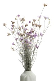 Photo of Beautiful wildflowers in vase isolated on white