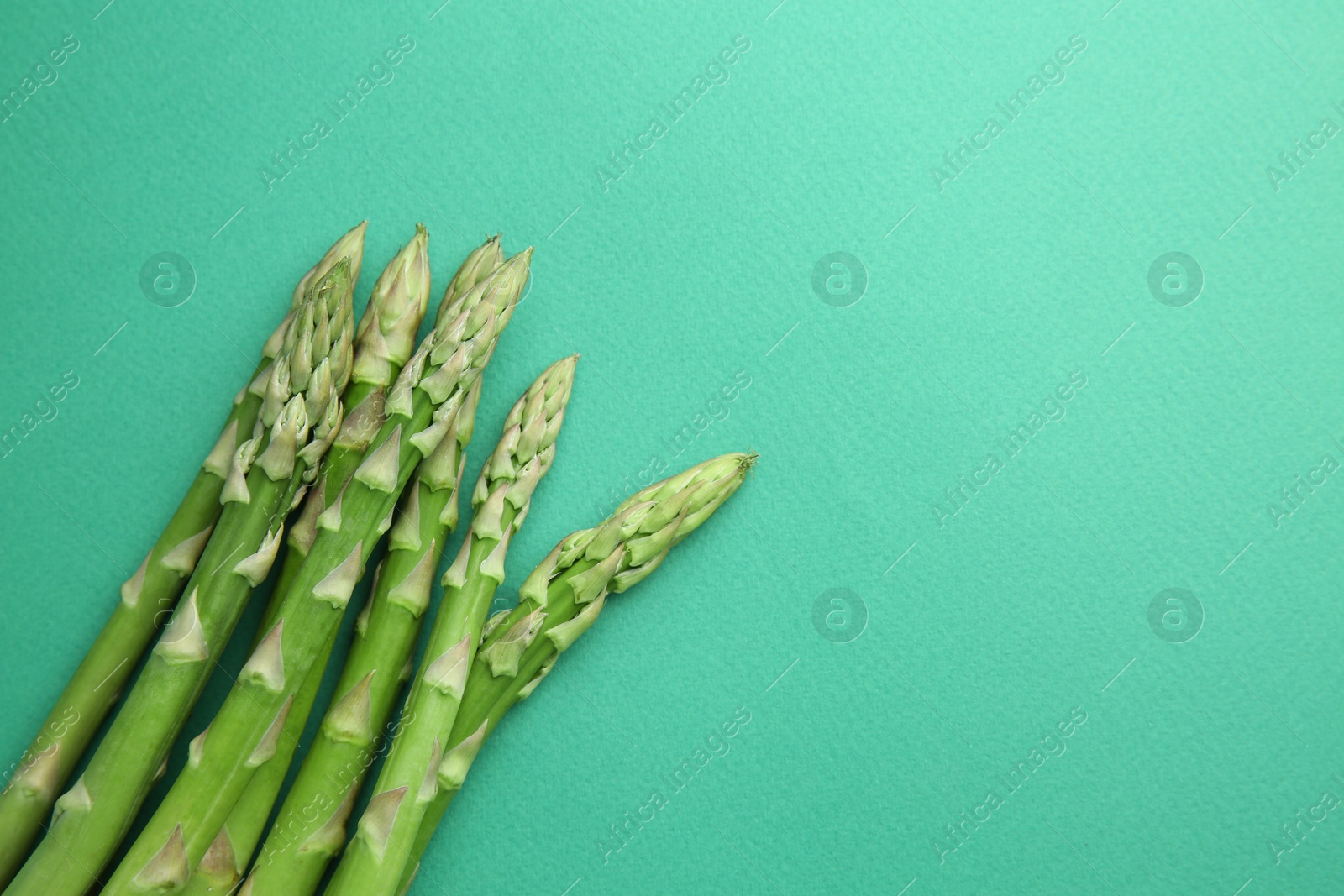 Photo of Fresh green asparagus stems on turquoise table, top view. Space for text