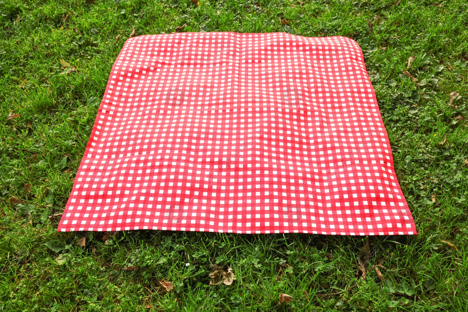 Photo of One checkered picnic tablecloth on green grass