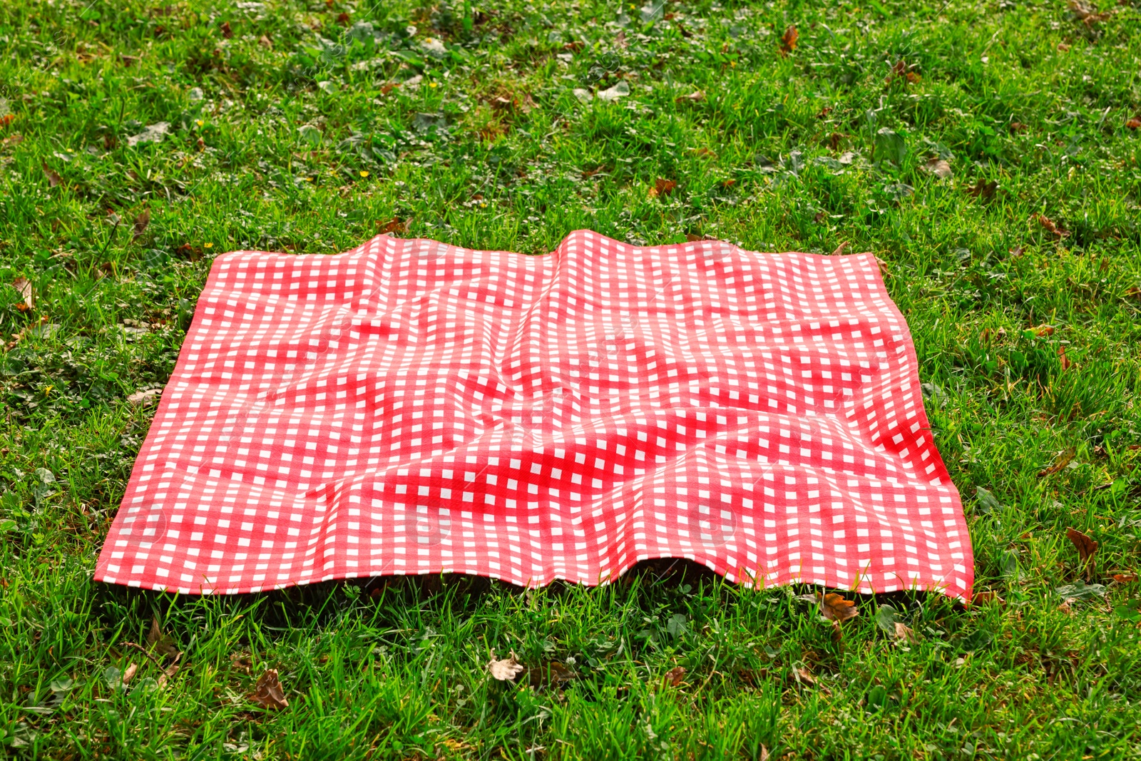 Photo of One checkered picnic tablecloth on green grass