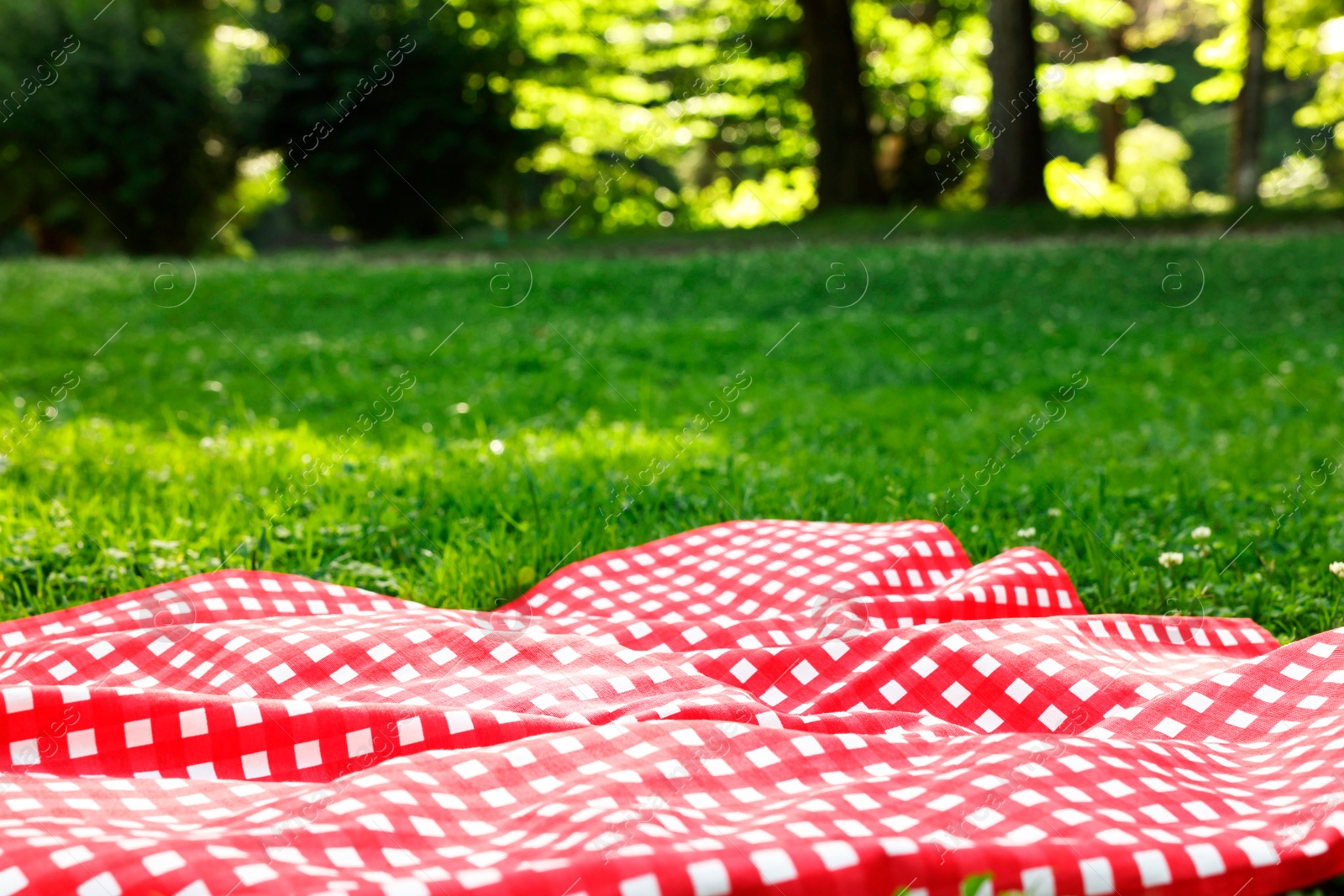 Photo of Checkered picnic tablecloth on green grass, closeup. Space for text