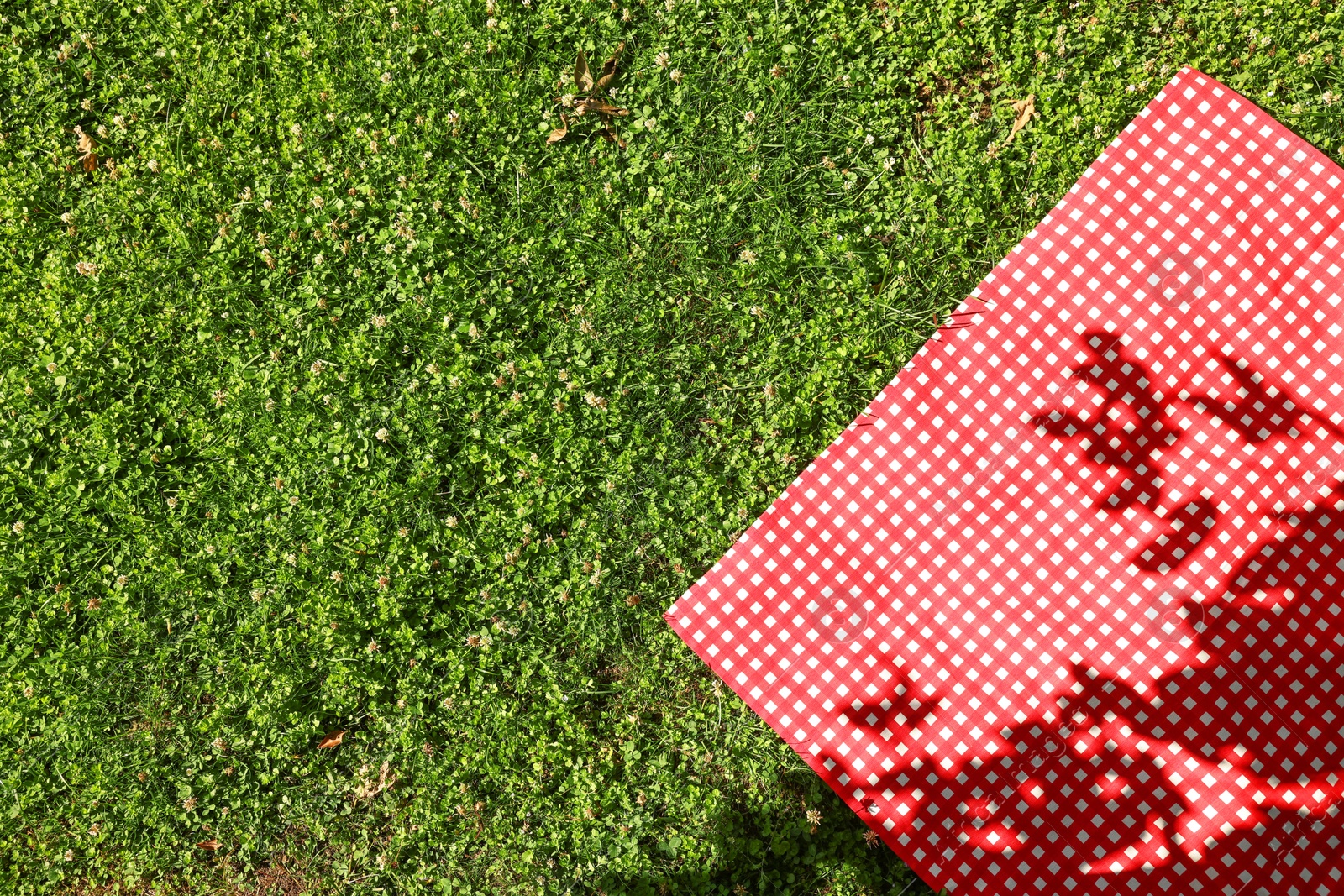 Photo of Checkered picnic tablecloth on green grass, top view. Space for text