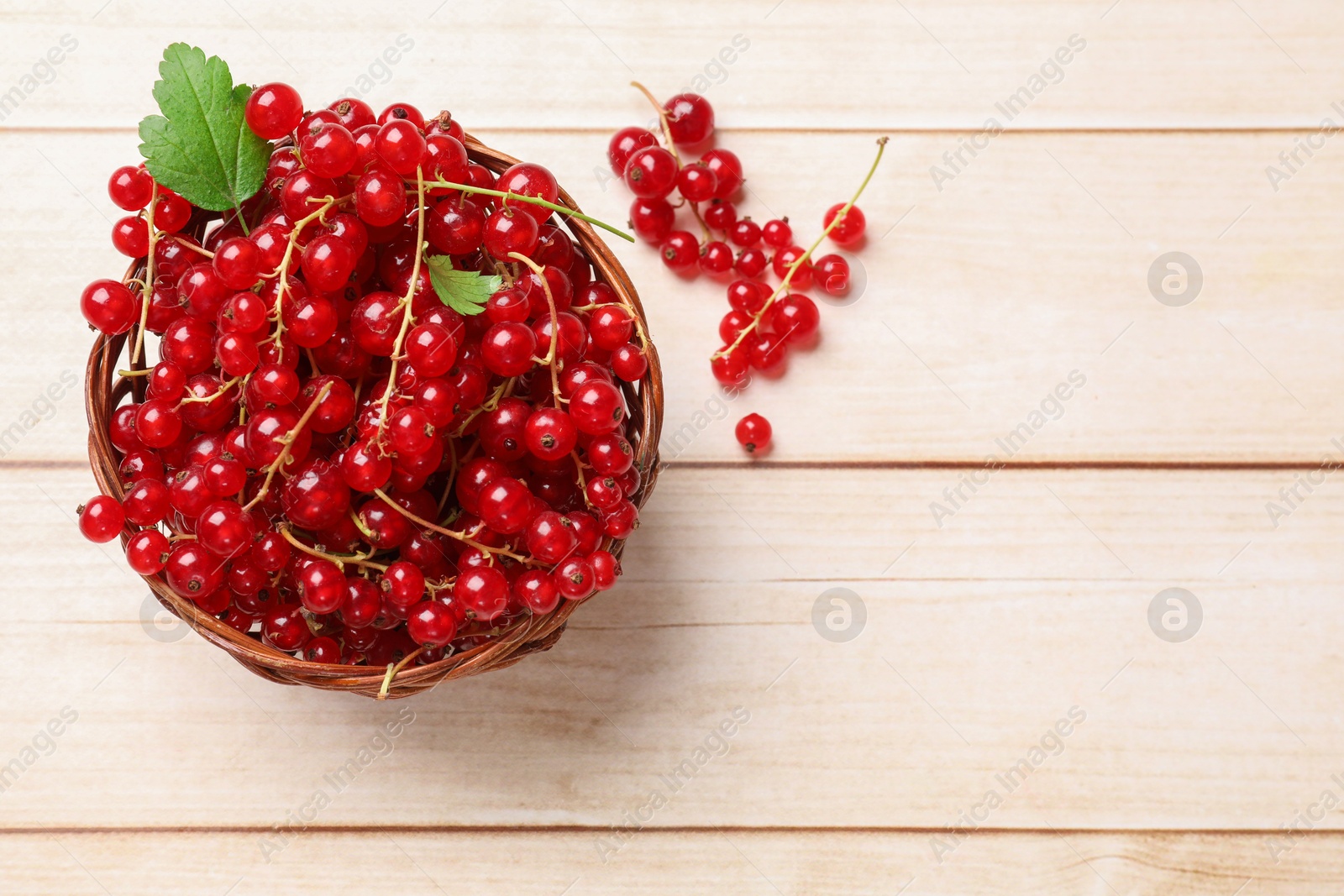 Photo of Fresh red currant berries in basket on white wooden table, top view. Space for text