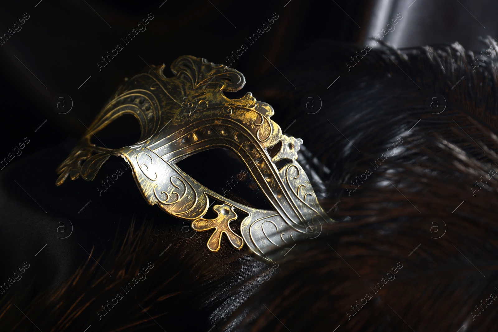 Photo of Beautiful carnival mask and feathers on black fabric, closeup