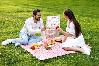 Happy couple having picnic on green grass outdoors