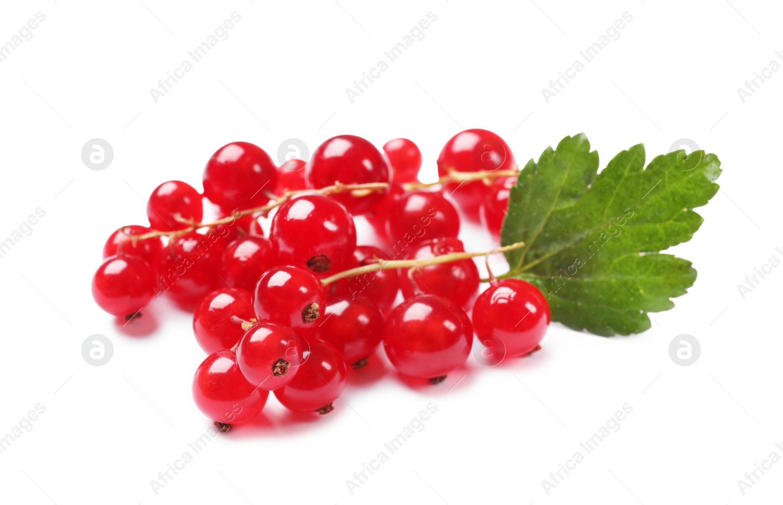 Photo of Ripe red currant berries and green leaf isolated on white