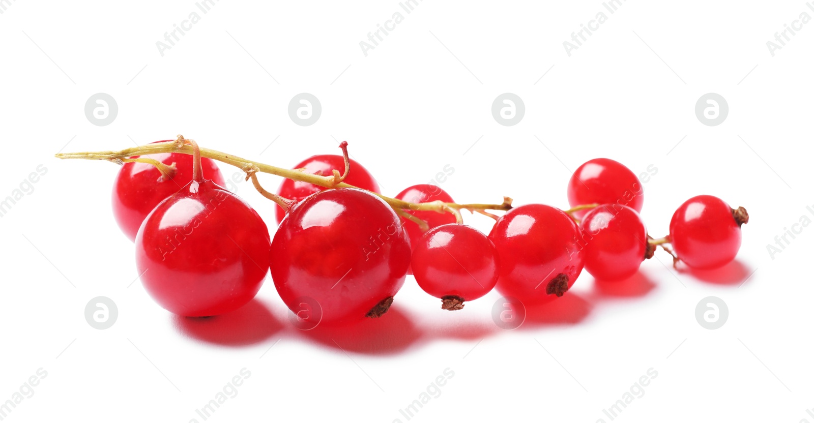 Photo of Fresh ripe red currant berries isolated on white