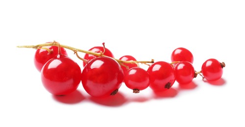 Photo of Fresh ripe red currant berries isolated on white