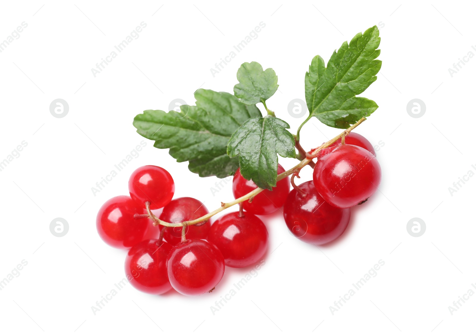 Photo of Fresh ripe red currant berries with green leaves isolated on white