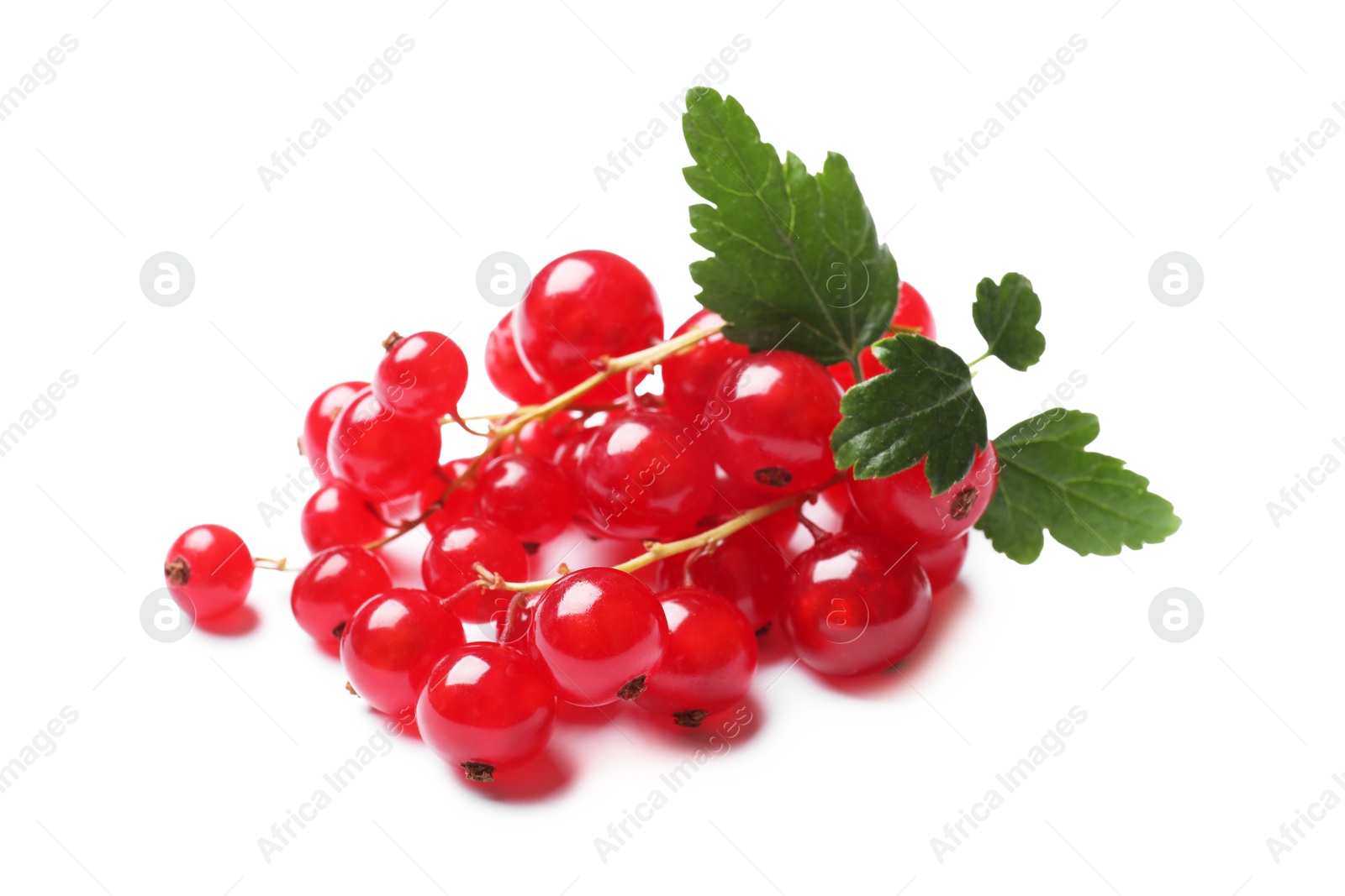 Photo of Fresh ripe red currant berries with green leaves isolated on white