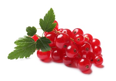 Fresh ripe red currant berries with green leaves isolated on white