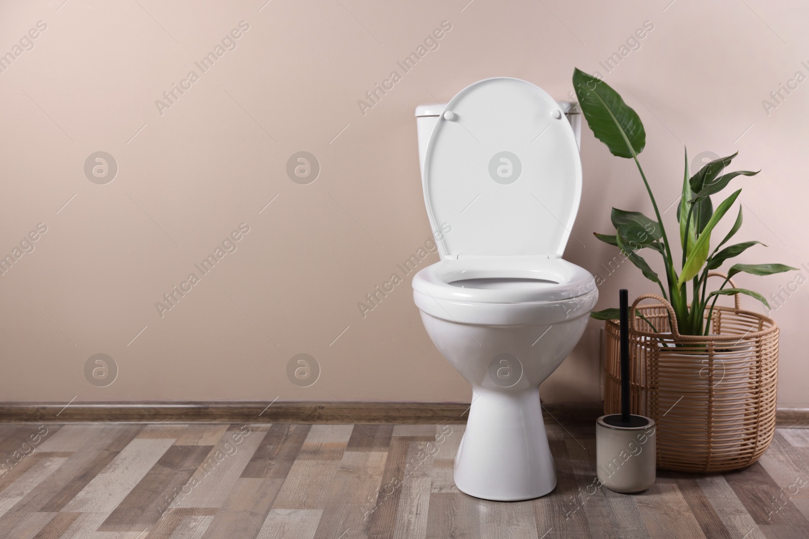 Photo of White toilet bowl and houseplant near beige wall indoors, space for text