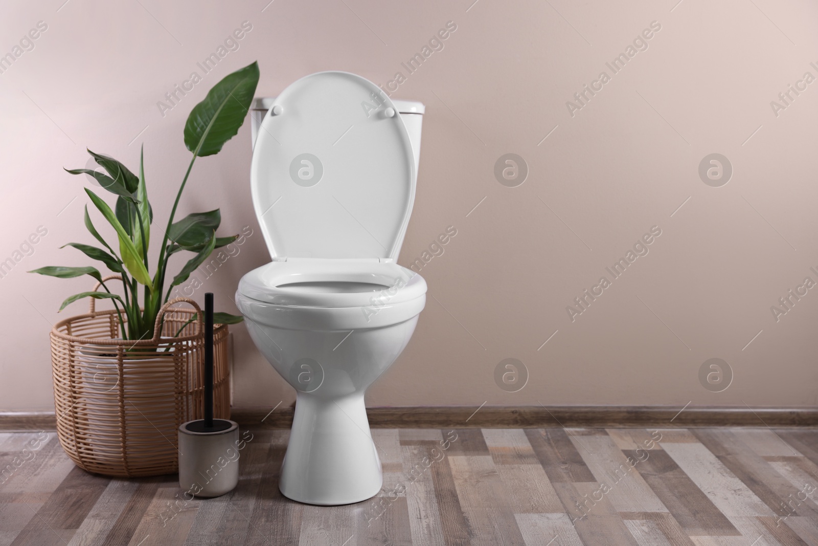 Photo of White toilet bowl and houseplant near beige wall indoors, space for text