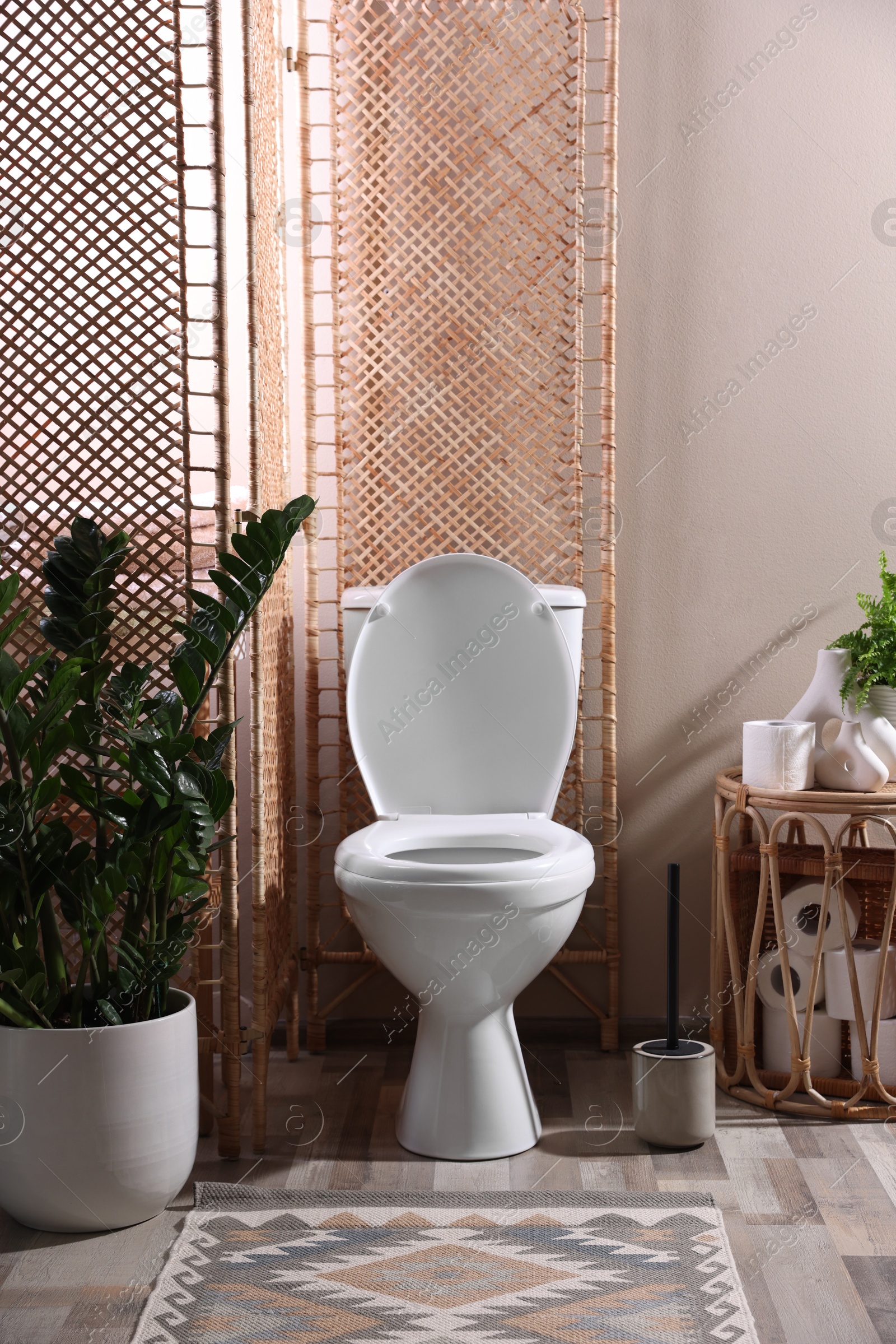 Photo of White toilet bowl, paper rolls and houseplants in bathroom