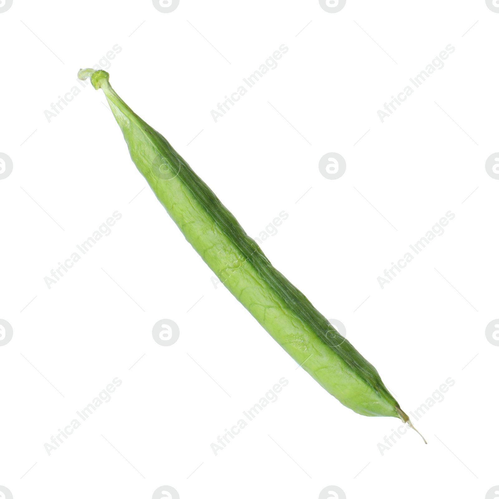 Photo of One green fresh pea pod isolated on white