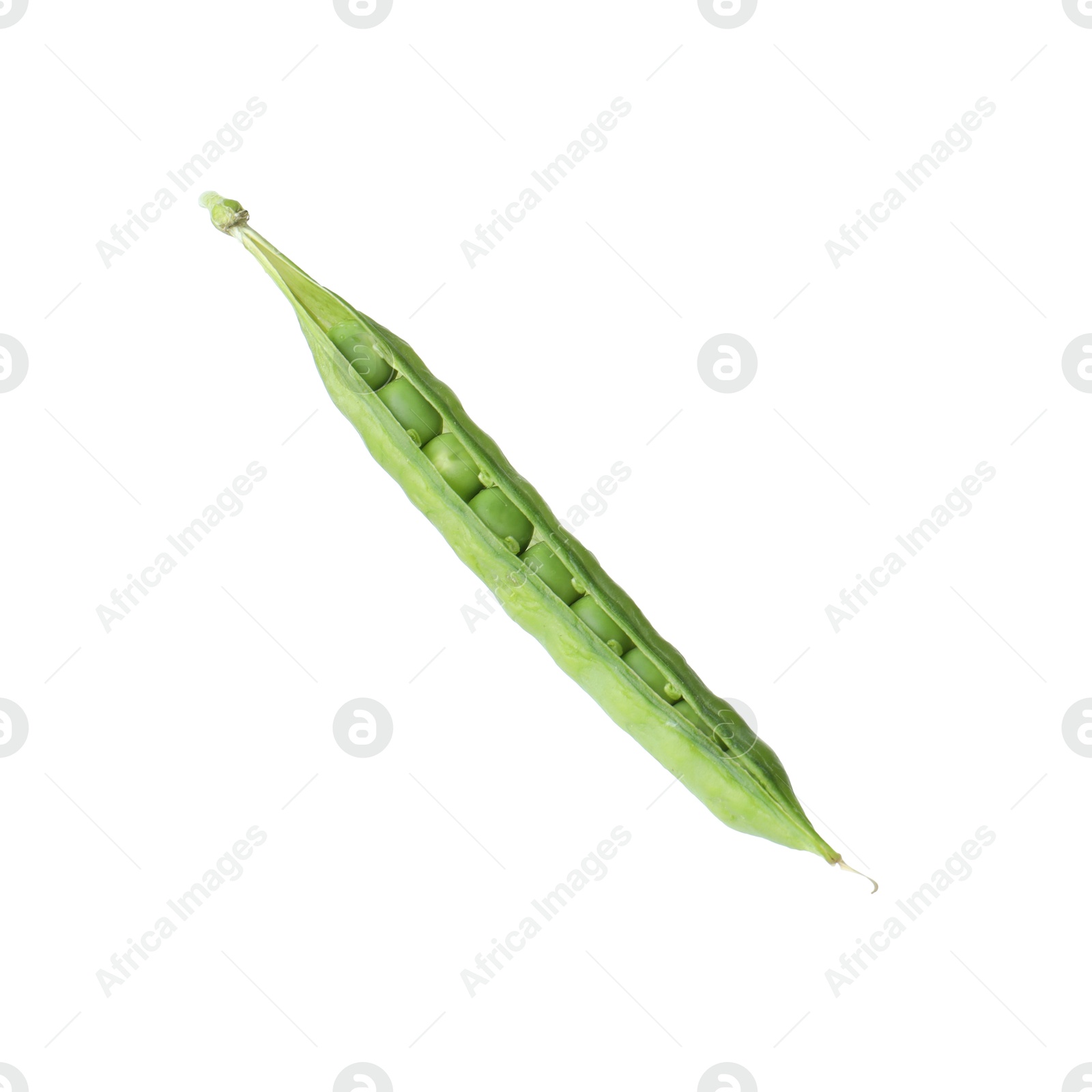 Photo of One green fresh pea pod isolated on white