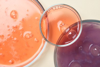 Petri dishes with samples on beige background, top view