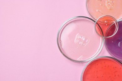 Petri dishes with samples on pink background, top view. Space for text