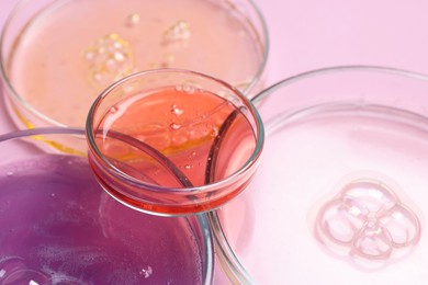 Petri dishes with samples on pink background