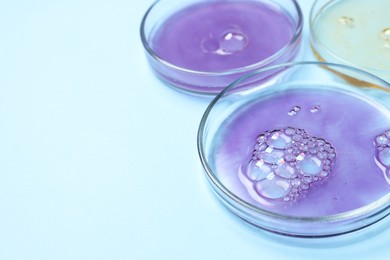 Photo of Petri dishes with samples on light blue background, space for text