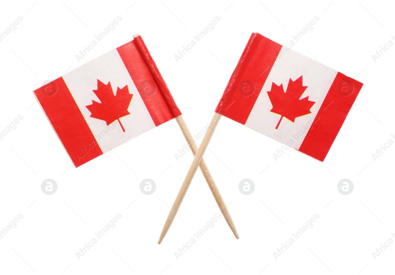 Photo of Small paper flags of Canada isolated on white