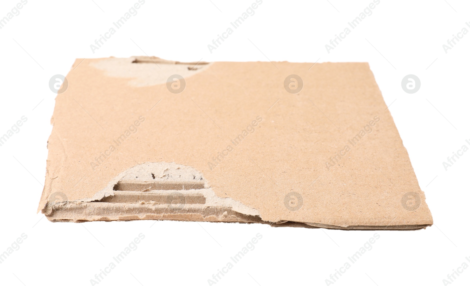 Photo of One carton paper sheet isolated on white