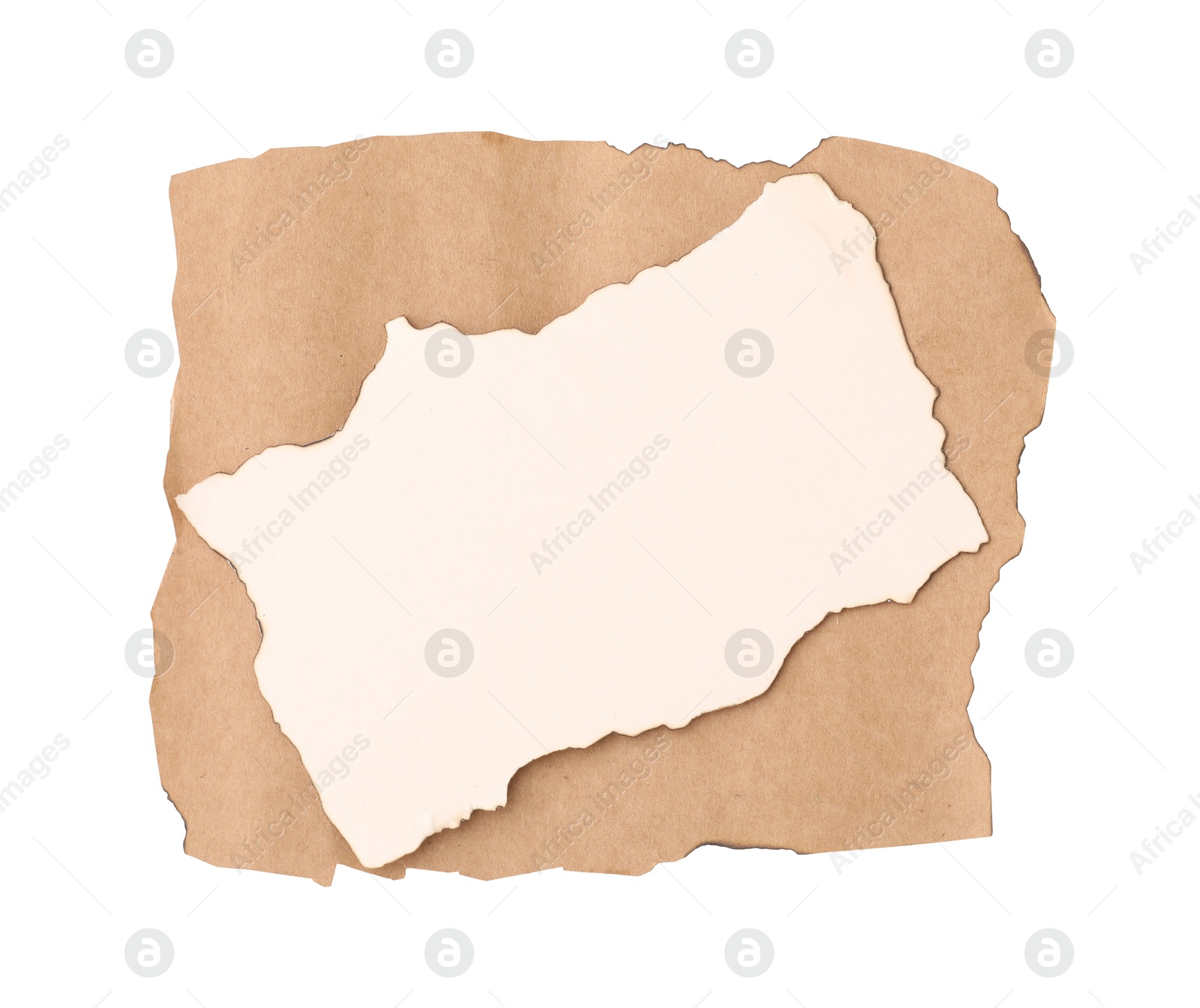 Photo of Pieces of old paper with dark burnt borders isolated on white, top view