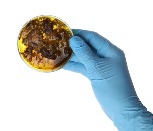 Photo of Laboratory worker holding petri dish with bacteria on white background, closeup