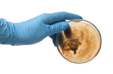 Laboratory worker holding petri dish with bacteria on white background, closeup