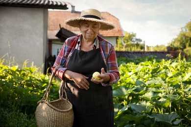 Senior farmer with wicker basket in garden