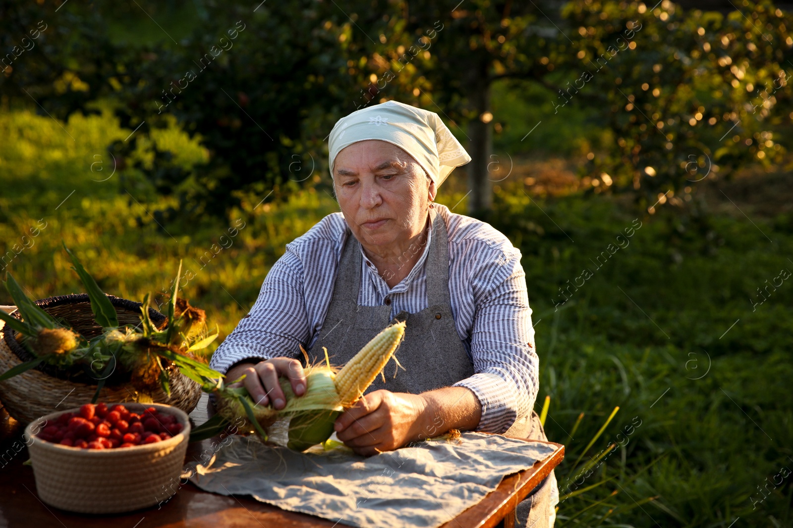 Photo of Senior farmer with different fresh products at wooden table outdoors