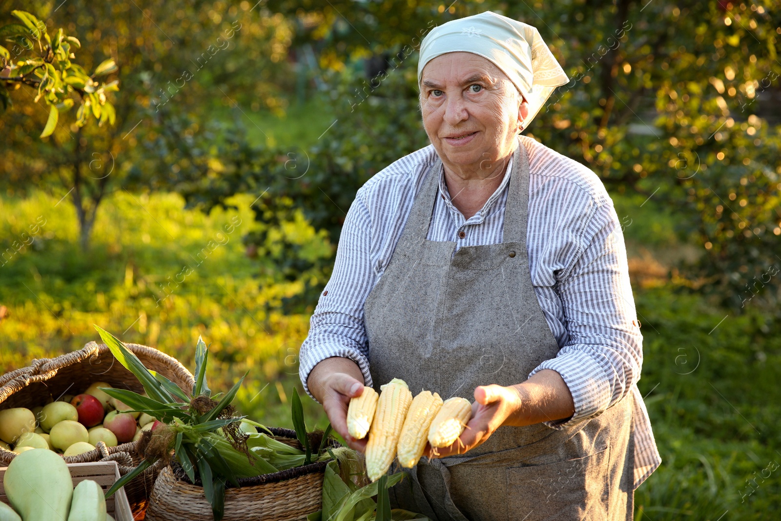 Photo of Senior farmer with different fresh products outdoors