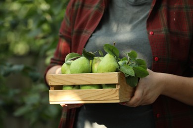 Photo of Woman holding wooden crate of ripe pears outdoors, closeup