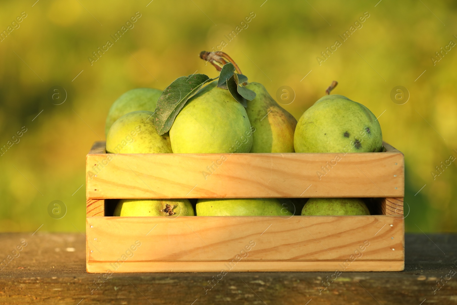 Photo of Ripe pears with leaves in crate on wooden table outdoors