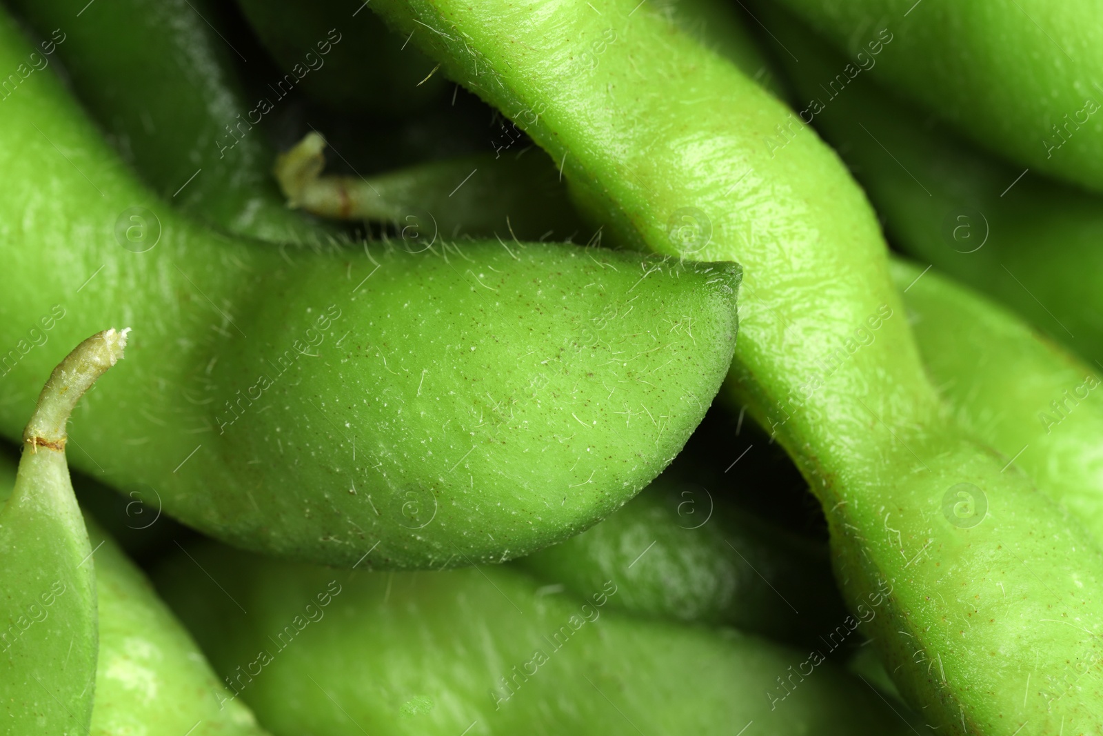 Photo of Fresh edamame pods as background, above view