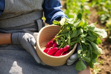 Farmer with bowl of freshly harvested radishes in garden, closeup