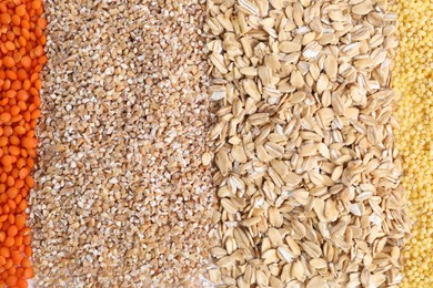 Photo of Different types of cereals and lentils as background, top view