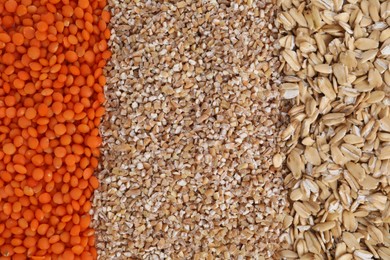 Photo of Different types of cereals as background, top view